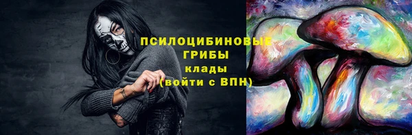 ГАЛЛЮЦИНОГЕННЫЕ ГРИБЫ Заволжье