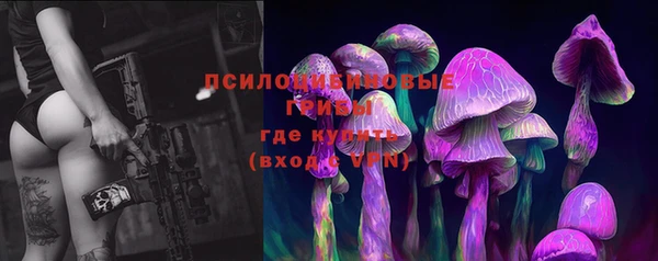 ГАЛЛЮЦИНОГЕННЫЕ ГРИБЫ Заволжье