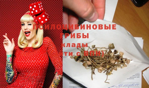 ГАЛЛЮЦИНОГЕННЫЕ ГРИБЫ Заволжье